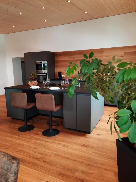 Kép Alpha Apartment szállásáról Schröckenben a galériában