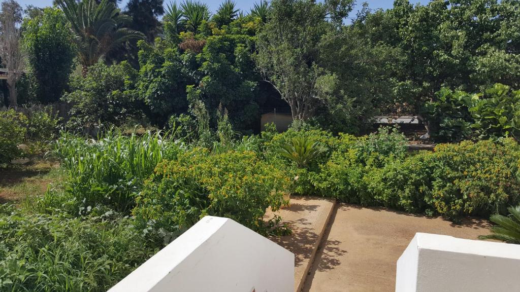 Fotografie z fotogalerie ubytování Mear Holiday Homes - Cretan Summer Getaways v destinaci Kountoura Selino