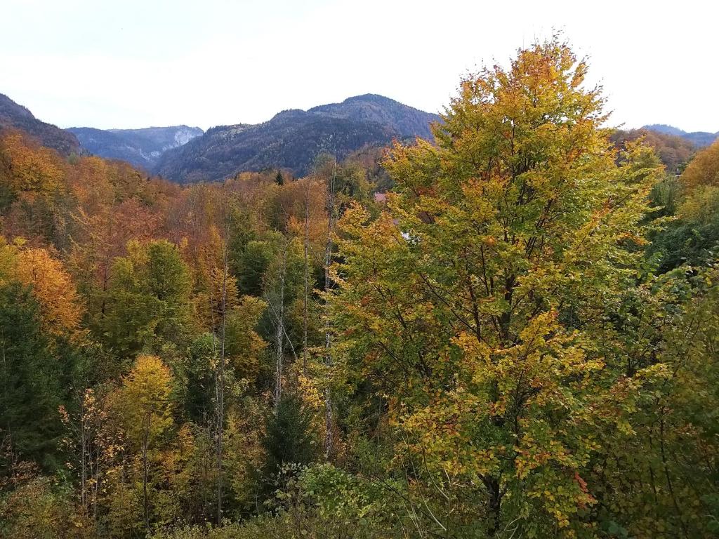 CHILL&SLEEP Bad Ischl - 18