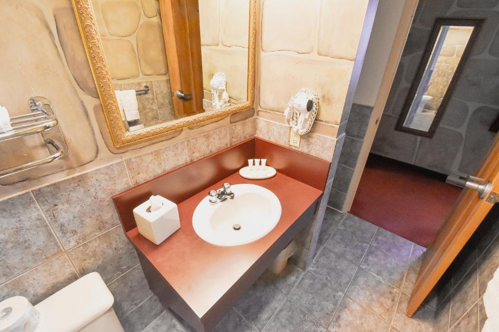 Canad Inns Destination Centre Fort Garry - Resim 14