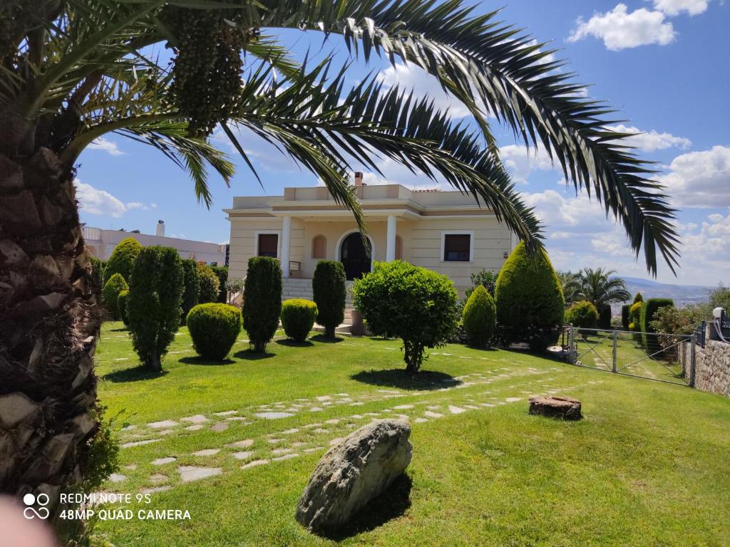 a house with a palm tree in the yard at Luxury Villa Thea in Volos