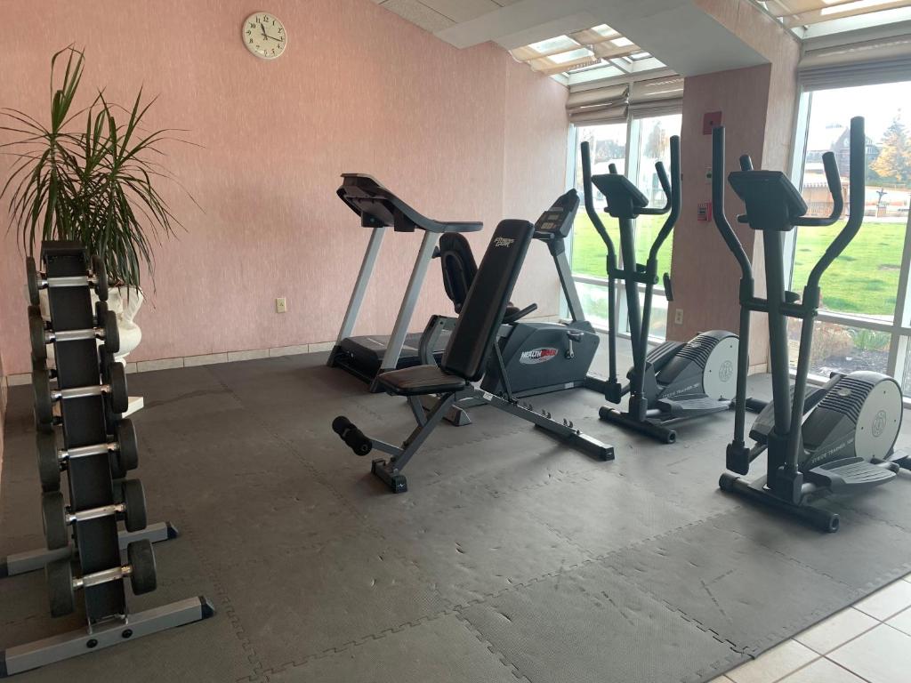 Fitness centrum a/nebo fitness zařízení v ubytování Riveredge Resort Hotel