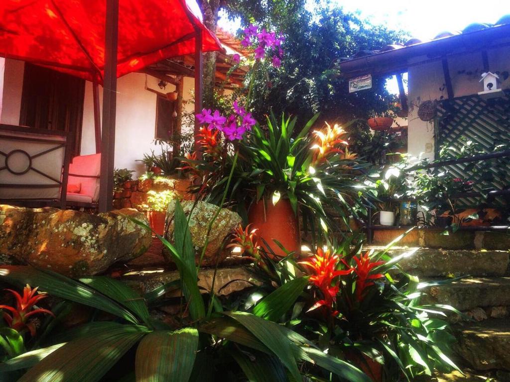a garden with colorful plants and a red umbrella at Tinto Hostel in Barichara