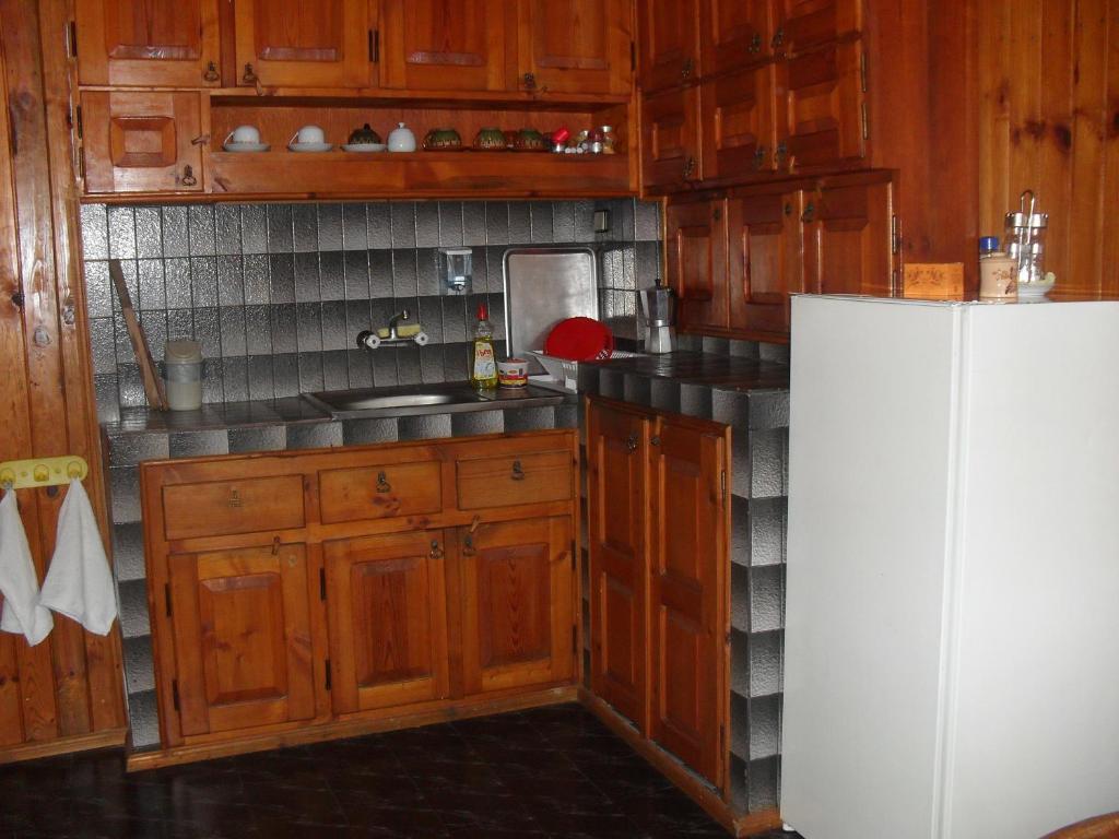 A kitchen or kitchenette at Guest House Terziiski