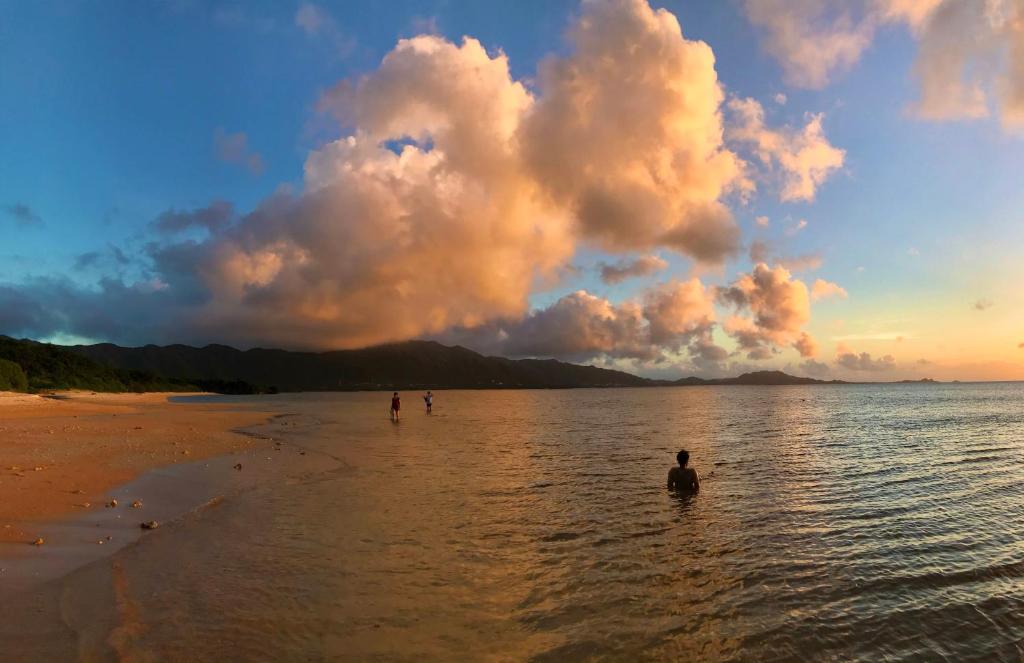 a man sitting in the water on a beach at イリワ -stay&coffee iriwa- in Ishigaki Island