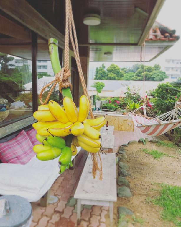 a bunch of bananas hanging from a rope at イリワ -stay&coffee iriwa- in Ishigaki Island