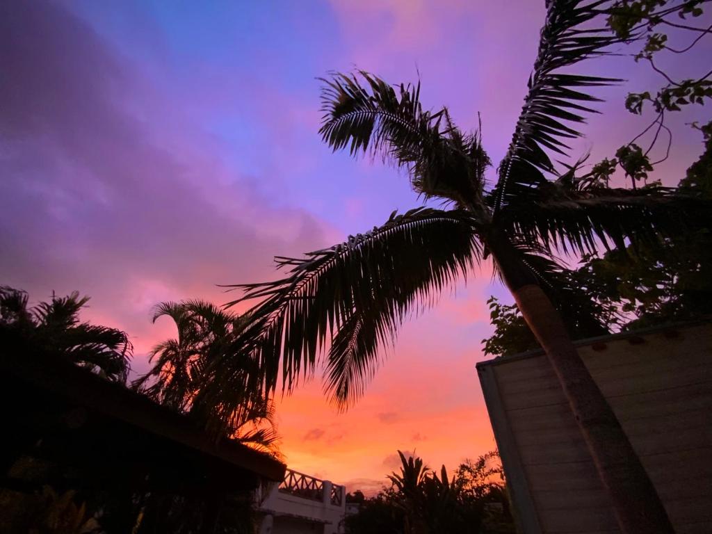 a palm tree in front of a sunset at イリワ -stay&coffee iriwa- in Ishigaki Island