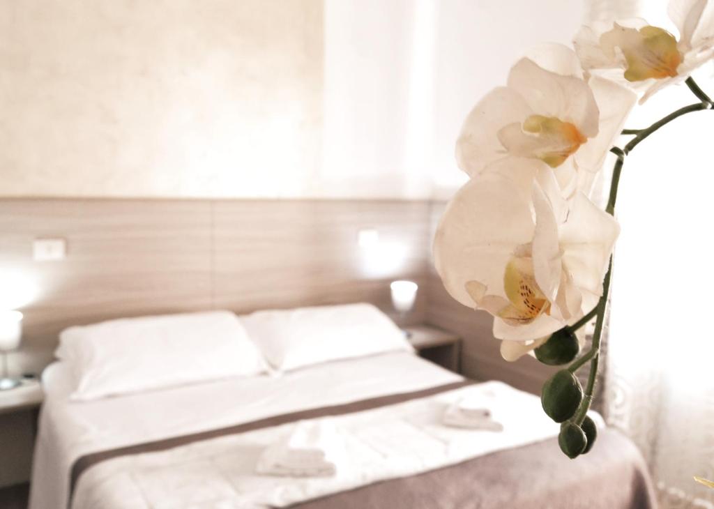 Hotel Colombo - Resim 21