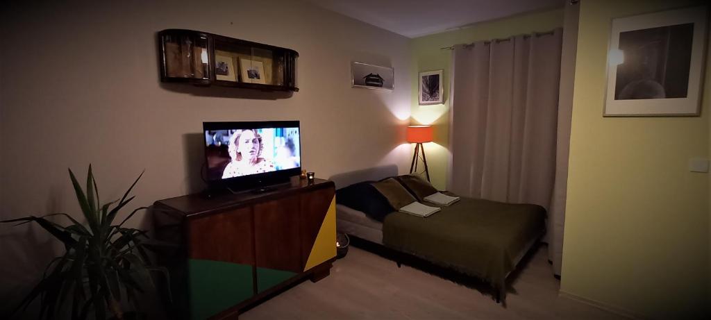 Televízia a/alebo spoločenská miestnosť v ubytovaní Green Wilanów Apartment with free parking