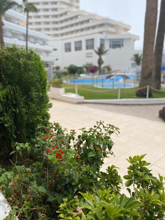 Bazén v ubytovaní Primera línea de mar ! Fantástico apartamento alebo v jeho blízkosti
