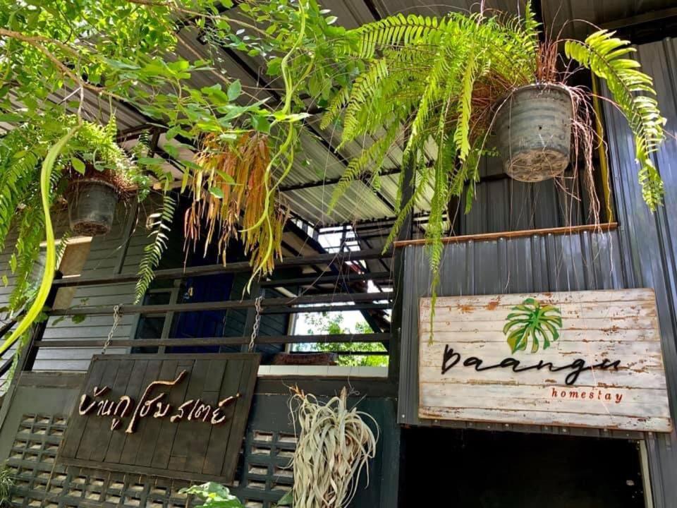 บ้านกู โฮมสเตย์ Baangu Homestay - Habitación Doble Con Vista A La Montaña