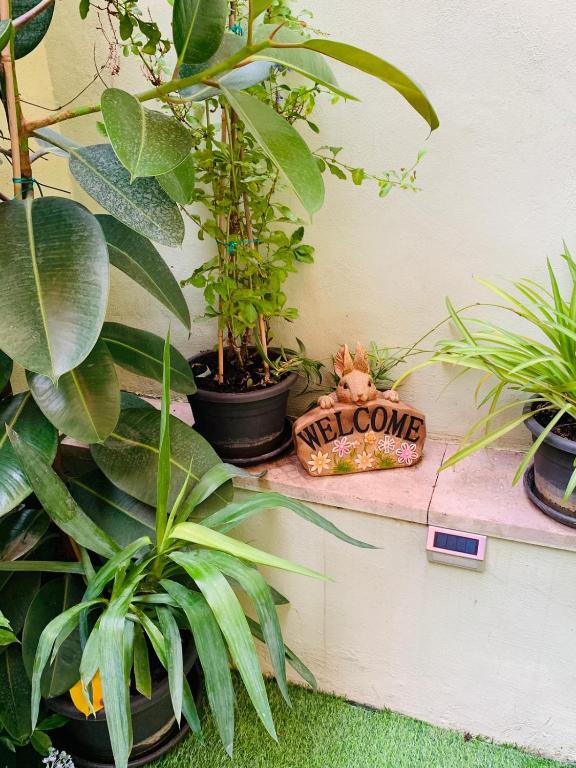 a welcome sign sitting on a ledge with plants at Babyface in Rome