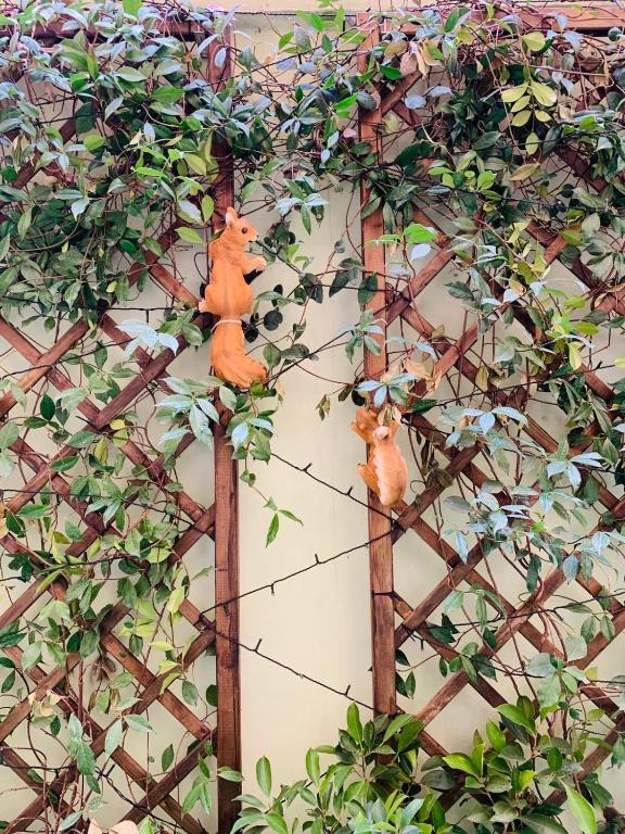 two teddy bears sitting on a wire fence at Babyface in Rome