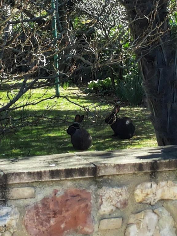 Hotel Villa Elda - Resim 13