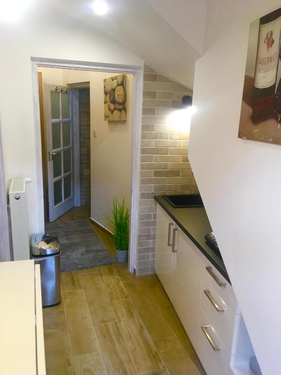 Kuchyň nebo kuchyňský kout v ubytování Boróka Apartman Belváros