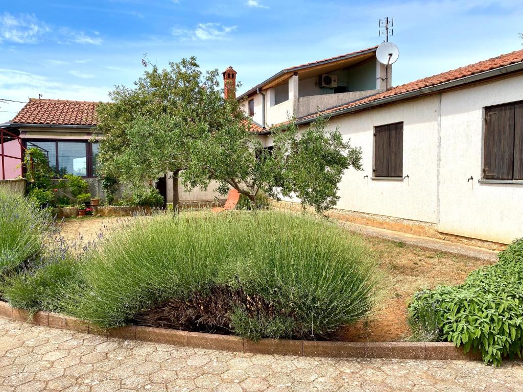 a house with a garden in front of it at Vacation Home Elba in Vodnjan