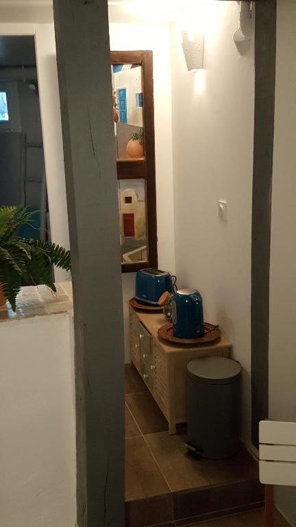 ein Bad mit einem Waschbecken und einem Spiegel in der Unterkunft Bienvenue chez Greg in Honfleur