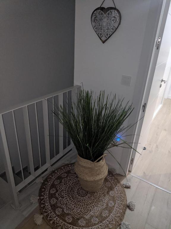 CASA LA PLAYA-CONIL Vacaciones de Lujo en Conil con Todas las Comodidades NETFLIX-HBO-DISNEY-CANALES DE FUTBOL-WIFI ALTA VELOCIDAD-SMART TV 65
