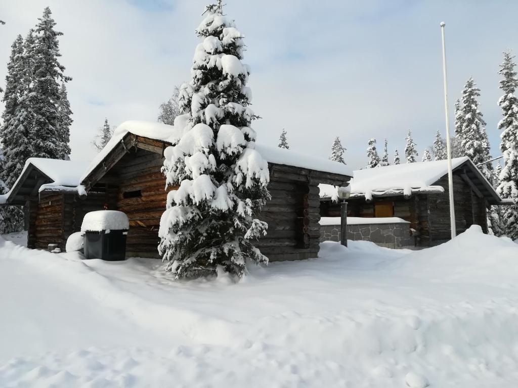 a cabin with a snow covered tree in front of it at Kelo Seasons Autumn in Luosto