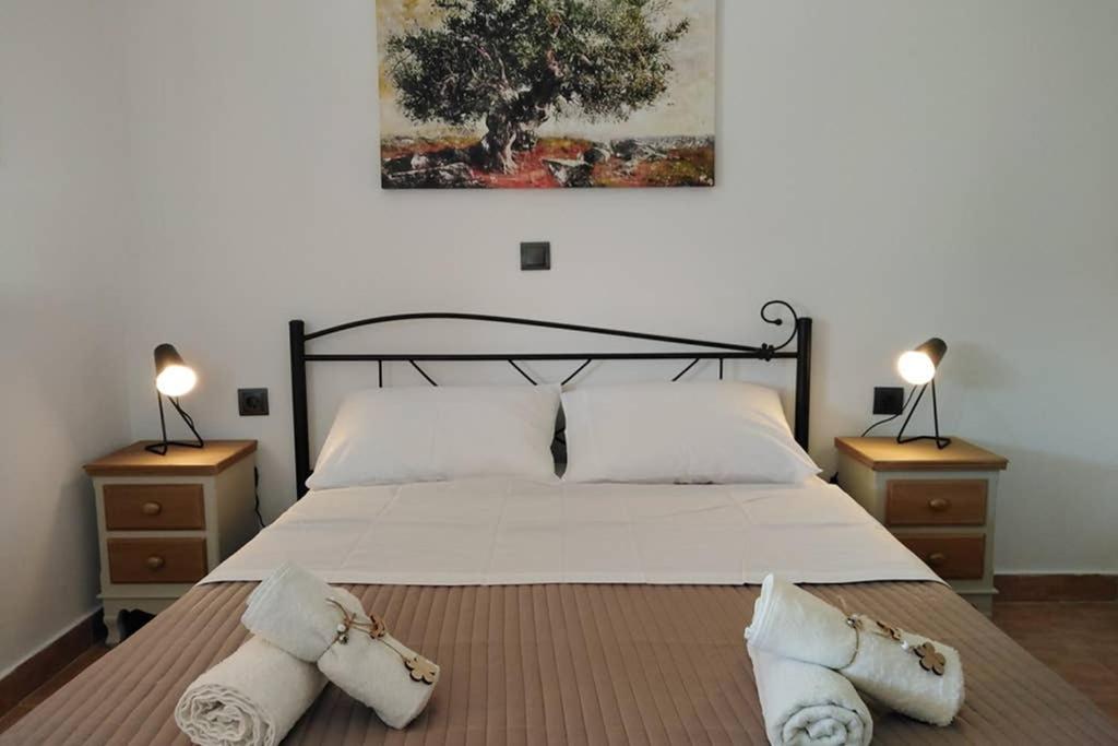 um quarto com uma cama grande e 2 mesas de cabeceira em Apartment with private pool for rent in Tzanata Kefalonia em Dhimisianáta