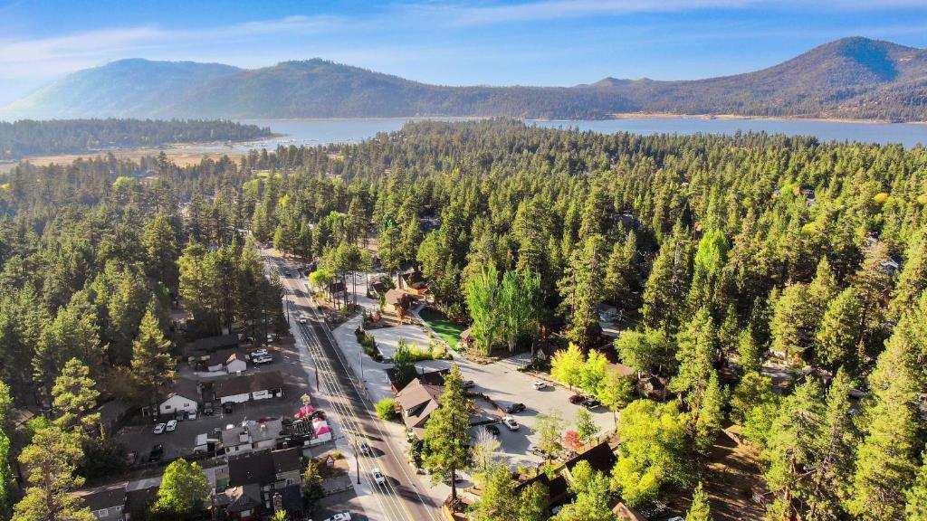 an aerial view of a forest and a lake at Bear Creek Resort in Big Bear Lake