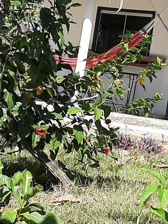  Estância Morro Do Frota