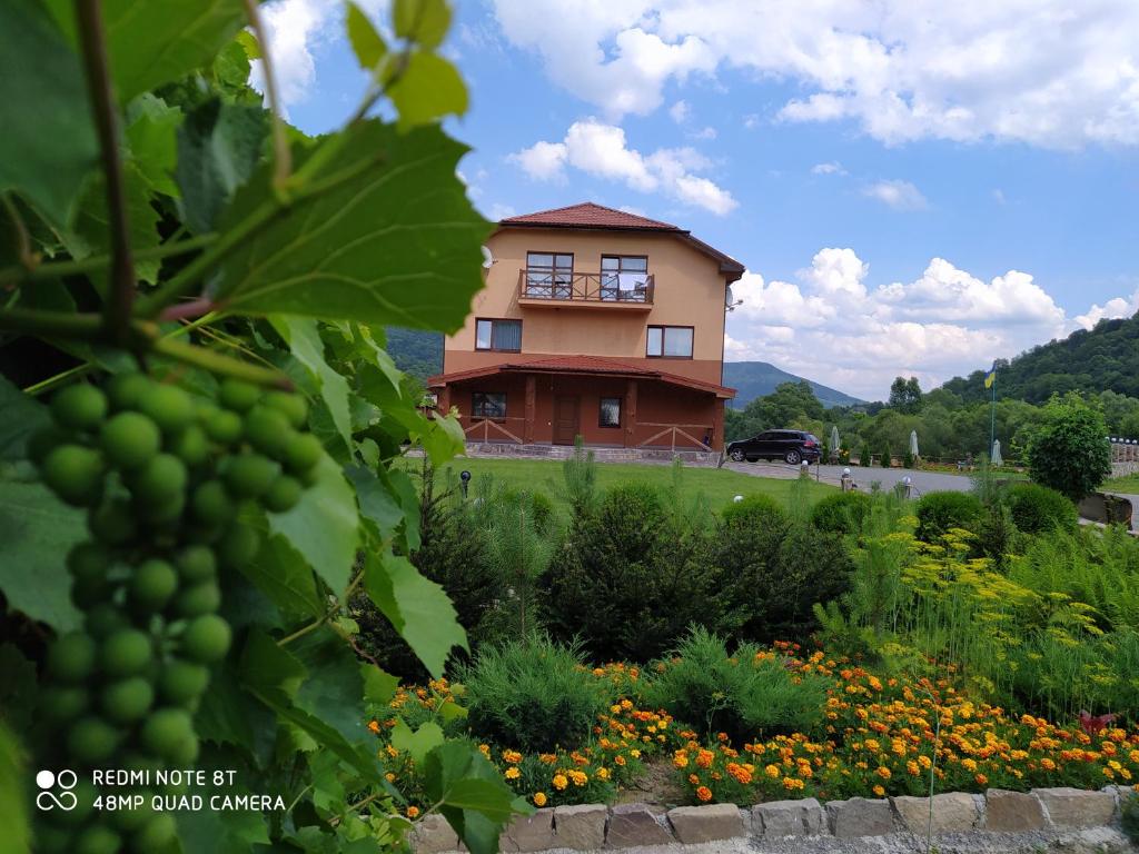 un edificio en un campo con un montón de uvas verdes en Bilovoddya Hotel, en Sil'