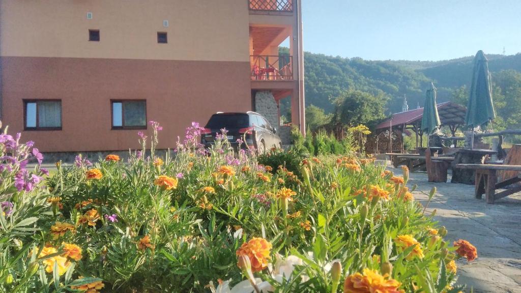 Nespecifikovaný výhled na hory nebo výhled na hory při pohledu z hotelu