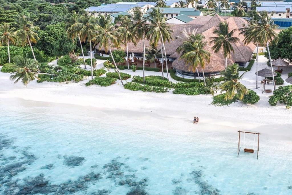 a beach with palm trees and palm trees at Reethi Faru, Bio Luxury Resort in Raa Atoll