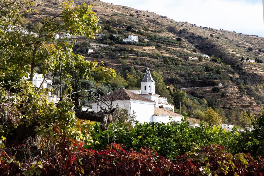 Paisaje cerca de este apartamento
