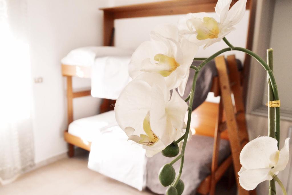 Hotel Colombo - Resim 19