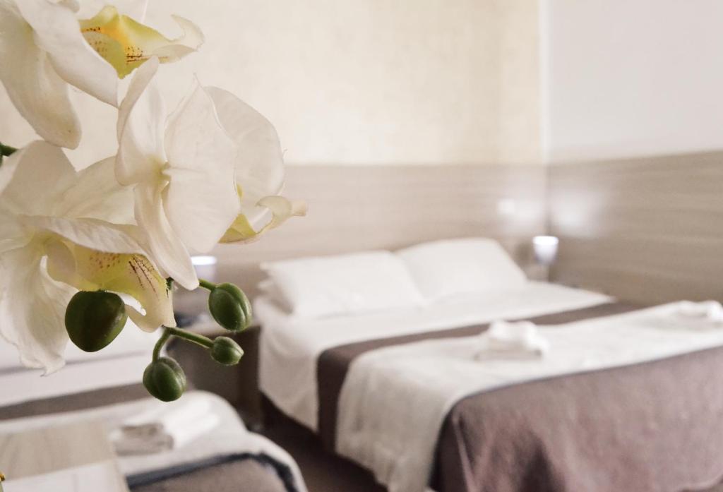 a hotel room with two beds and a white flower at Hotel Colombo in Naples