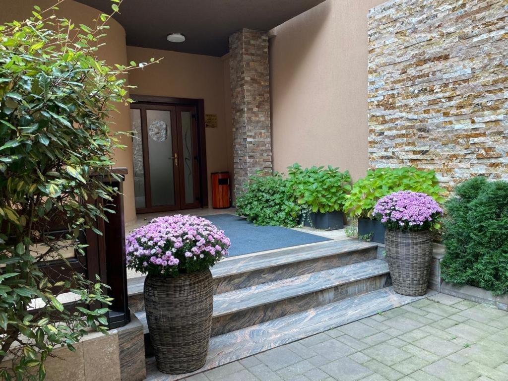 Zahrada ubytování Hotel Yarus