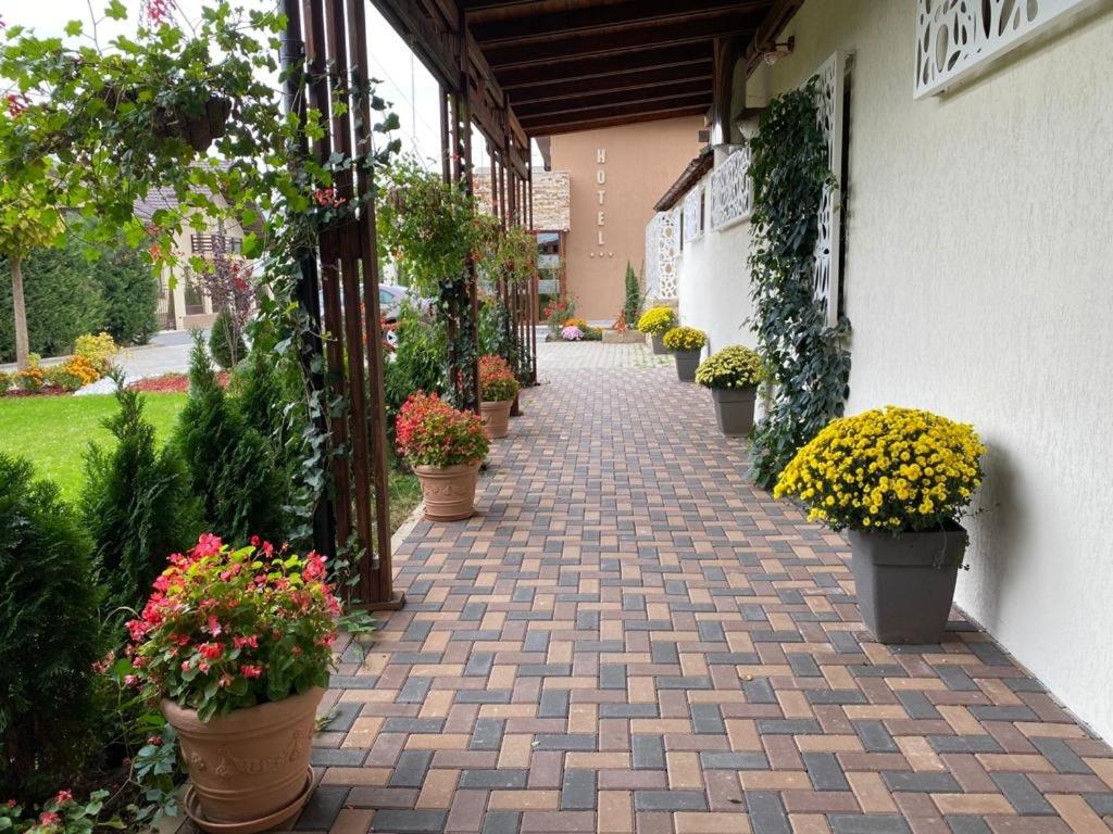 Zahrada ubytování Hotel Yarus