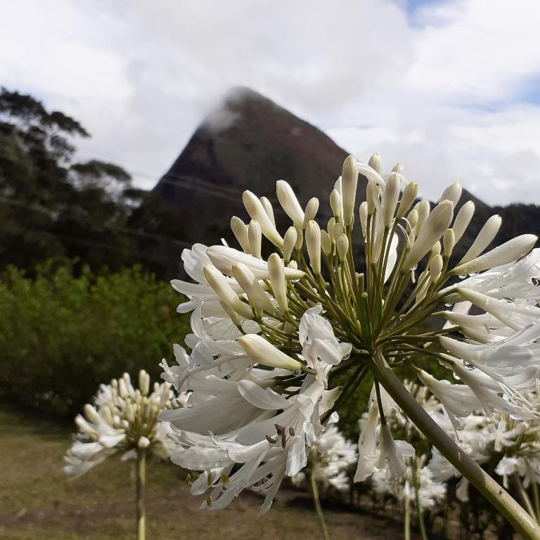  Mirante do Leco Açu