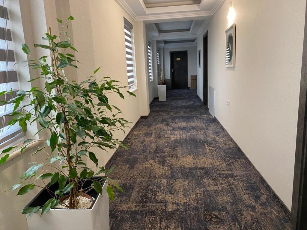 Fotografie z fotogalerie ubytování Hotel Yarus Plus v destinaci Ploješť