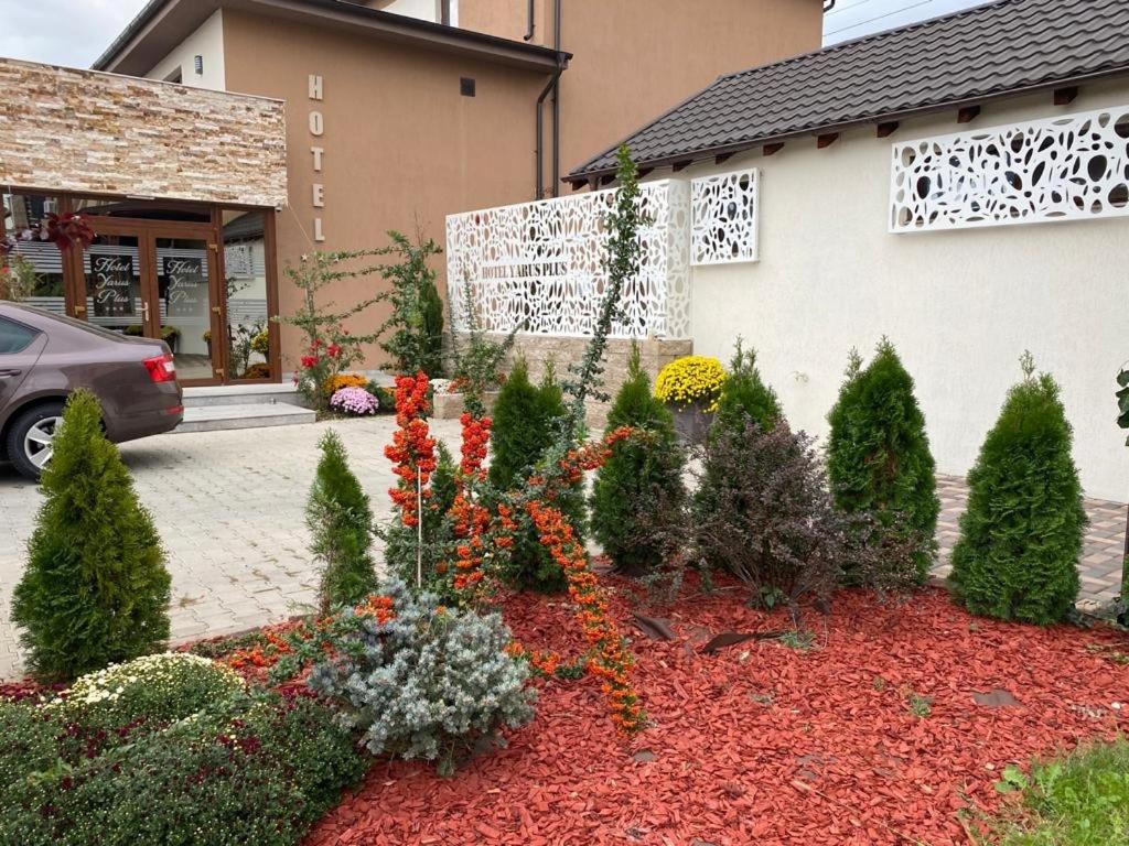 Zahrada ubytování Hotel Yarus Plus