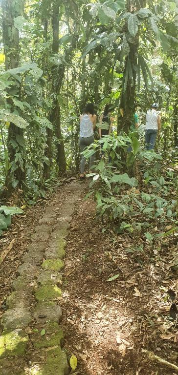 Zahrada ubytování Finca Las Palmas Ecolodge
