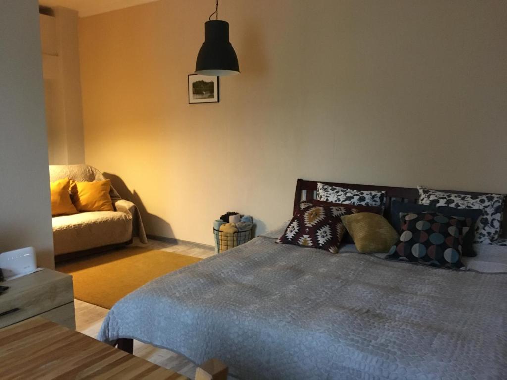 1 dormitorio con 1 cama y 1 sofá en Gaujas apartaments en Līgatne