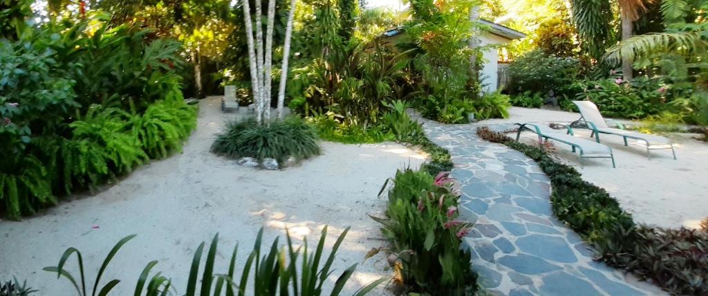Zahrada ubytování Togo B&B Farallon