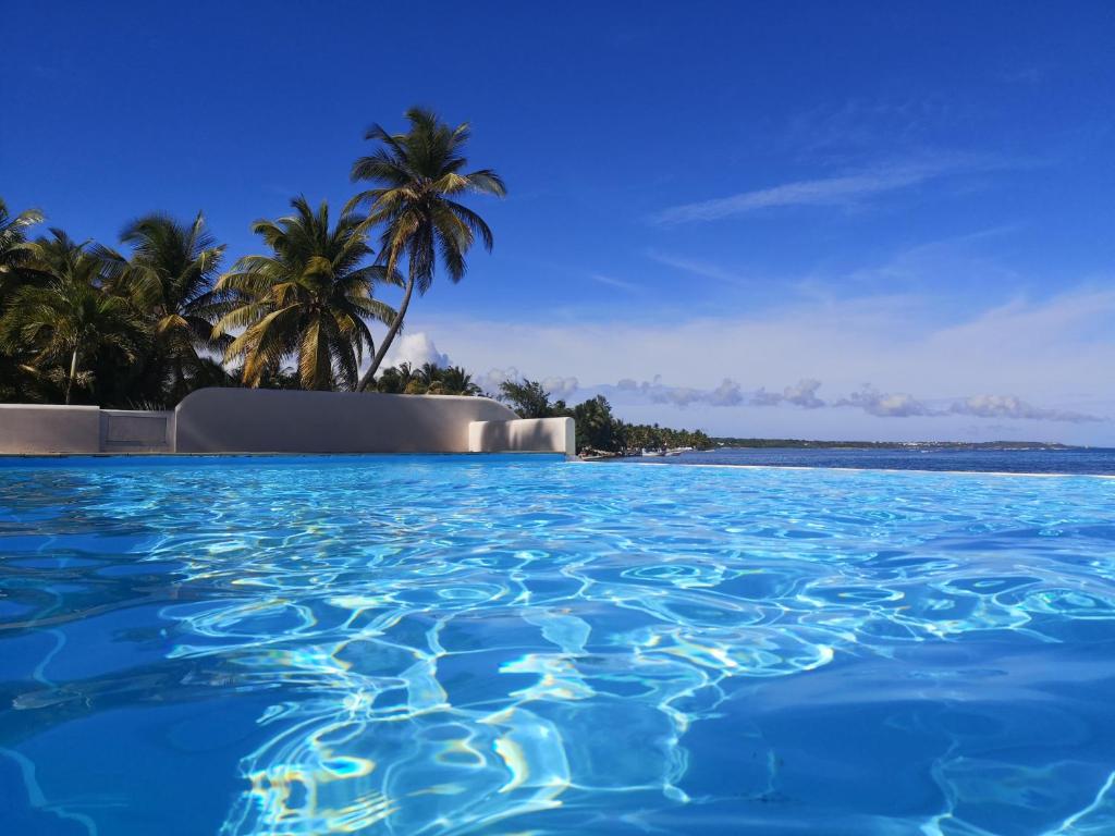 basen z palmami i widokiem na ocean w obiekcie Eden Blue vue Mer w mieście Sainte-Anne