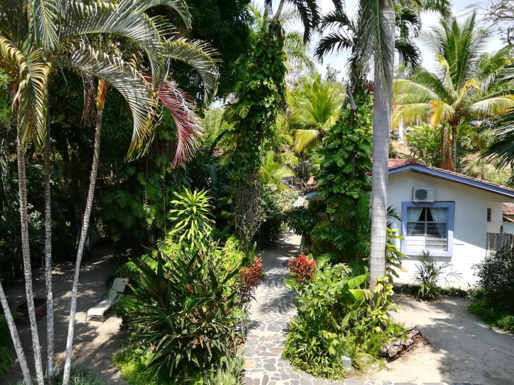 Zahrada ubytování Togo B&B Farallon