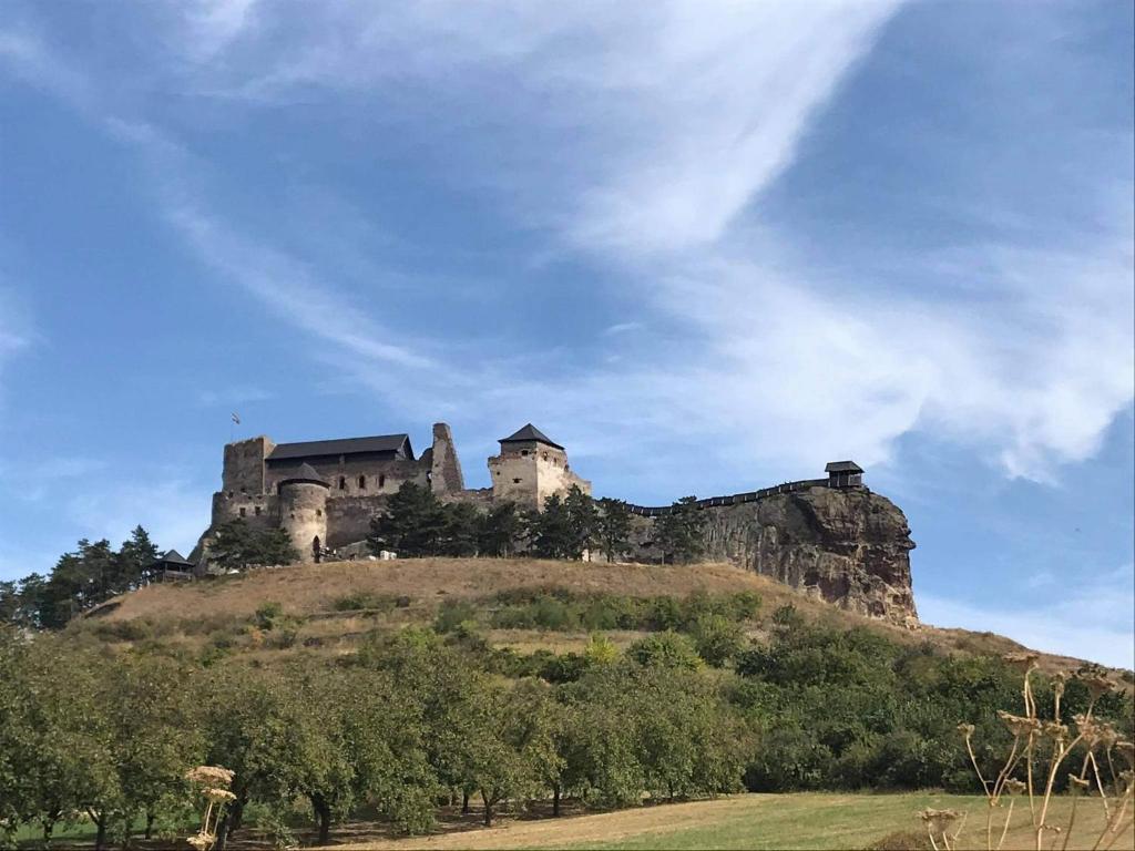 un castillo en la cima de una colina con árboles en Wellness Villa Diana en Boldogkőváralja