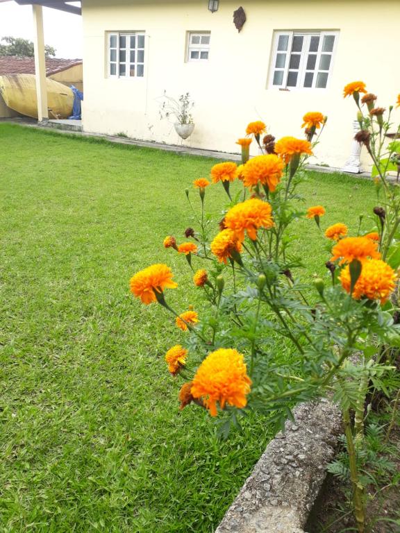  Casa verde na praia da Lagoinha