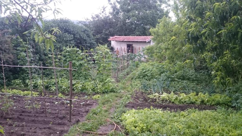 Zahrada ubytování Casa MiraXurés con vistas a la Sierra del Xurés