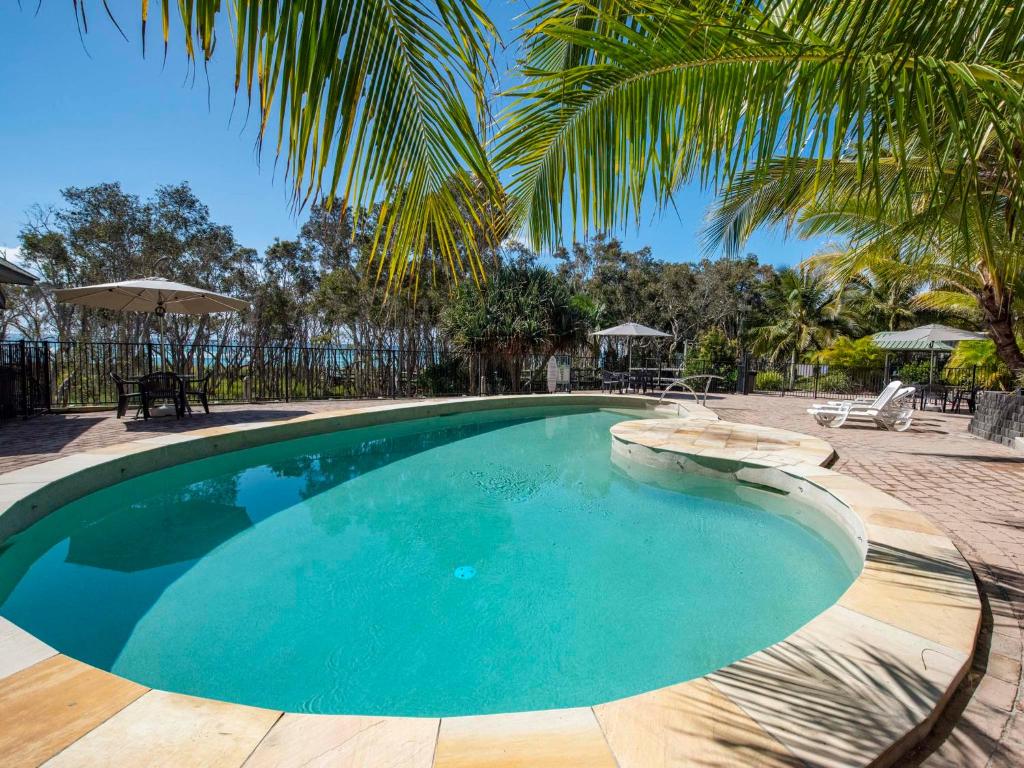 a swimming pool with a palm tree next to it at Anchorage on Straddie in Point Lookout