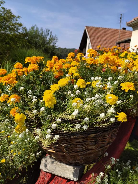 a basket filled with yellow and white flowers in a yard at Apartmani Mali Raj Rudnik in Rudnik