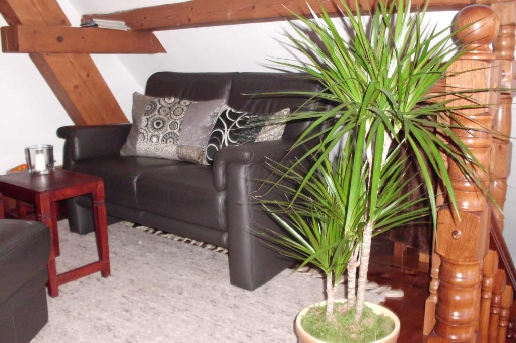 Ferienwohnung Haumannshof - 8