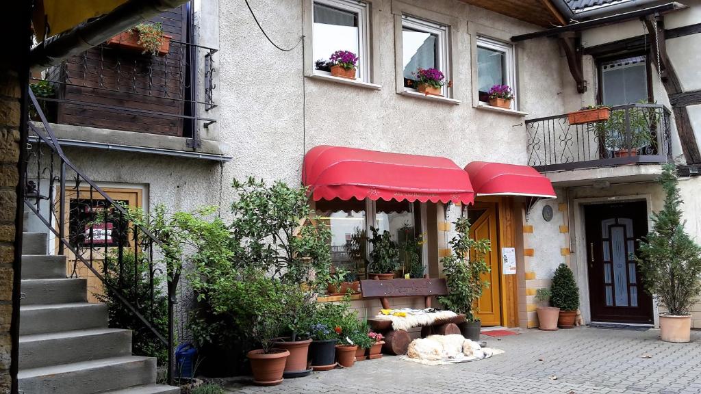 a dog sleeping outside of a building with a red awning at Haus mit Seele im Nahetal in Weinsheim