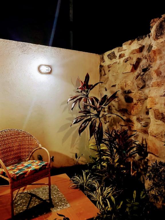  Casa Jasmim-Manga